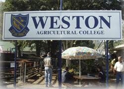Image result for Weston Agricultural College