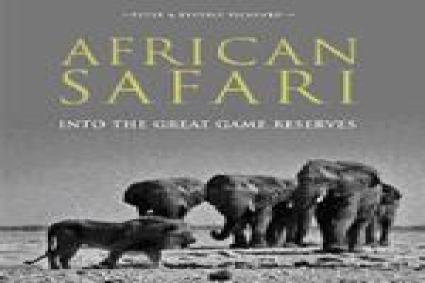 Cape To Cairo Wines
