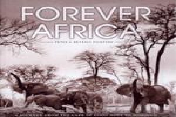 Cape To Cairo Wines