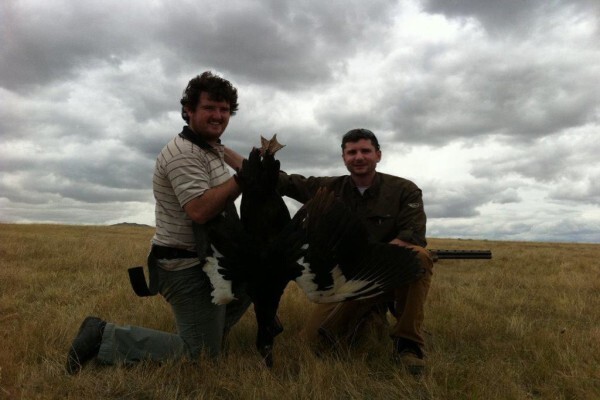 Cape Town Hunting Safaris