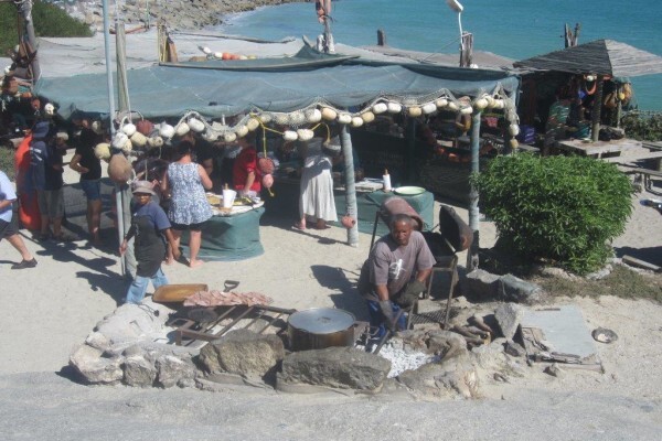 Cape Town Hunting Safaris