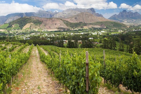 Capescape Private Tours & Guided Mountain Walks