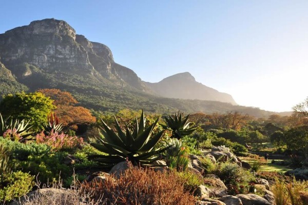 Capescape Private Tours & Guided Mountain Walks