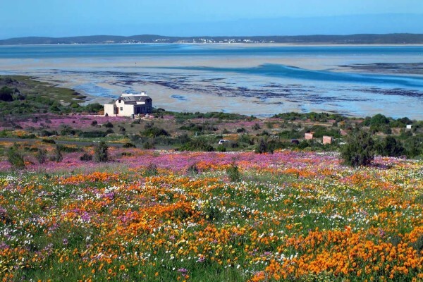 Capescape Private Tours & Guided Mountain Walks