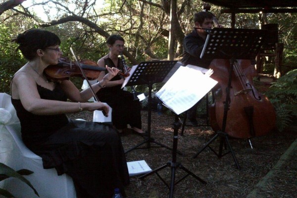 Cape Wedding Trio