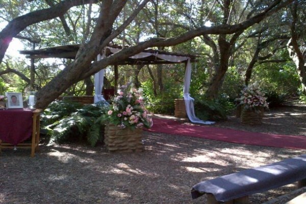 Cape Wedding Trio