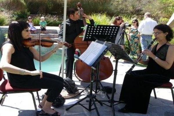Cape Wedding Trio
