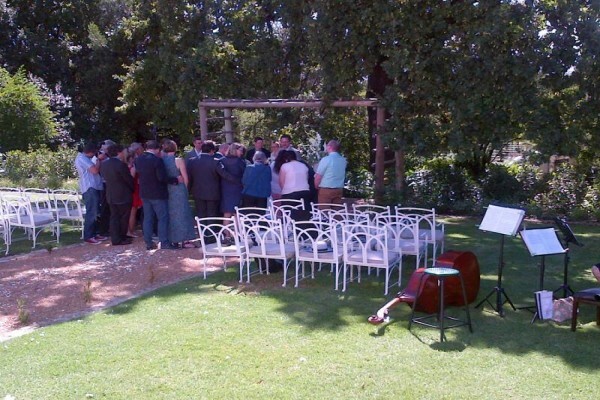 Cape Wedding Trio