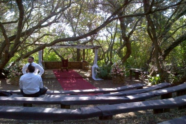 Cape Wedding Trio