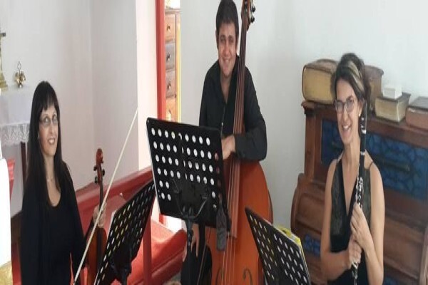 Cape Wedding Trio