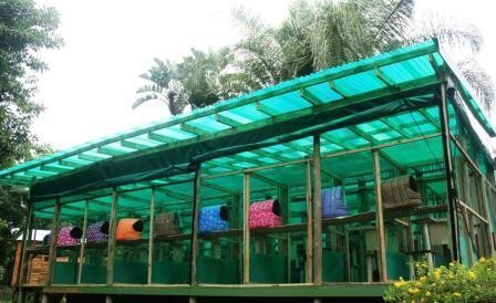 Cats In The Cradle Cattery