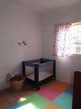 Cats Play Place