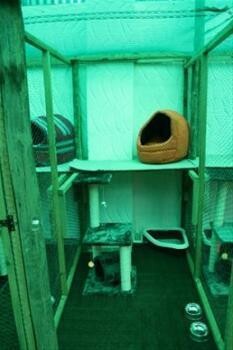 Cats In The Cradle Cattery