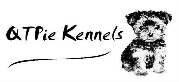 Qtpie Kennels