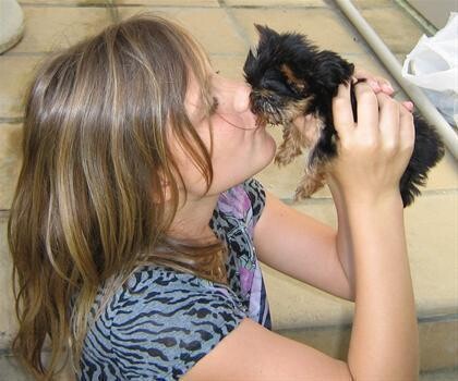 Qtpie Kennels