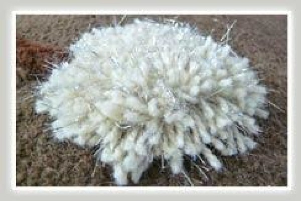 Rugalia