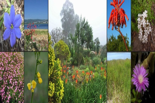Steenbok Nature Reserve