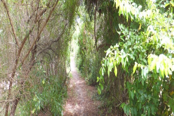 Steenbok Nature Reserve