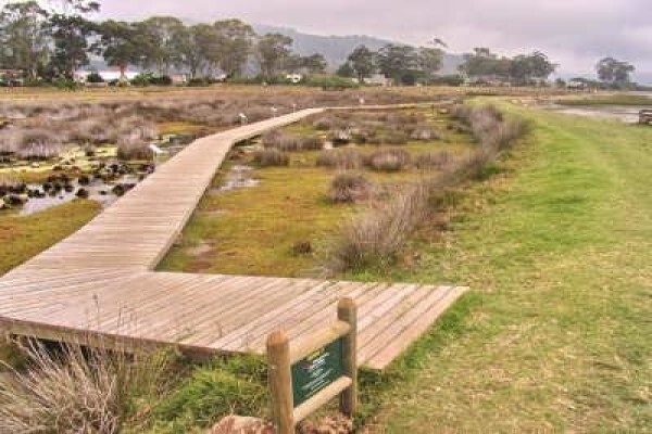 Steenbok Nature Reserve
