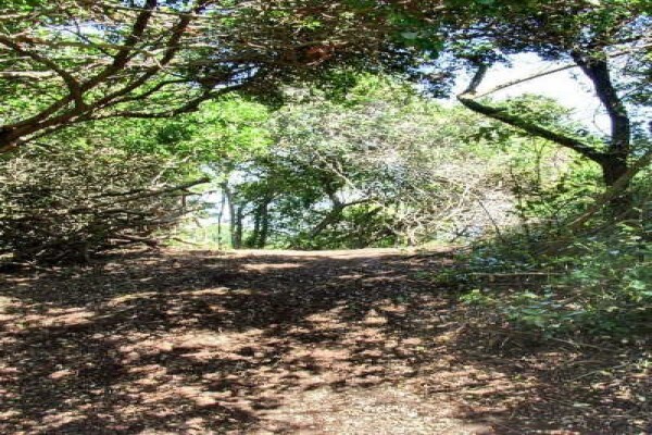 Steenbok Nature Reserve