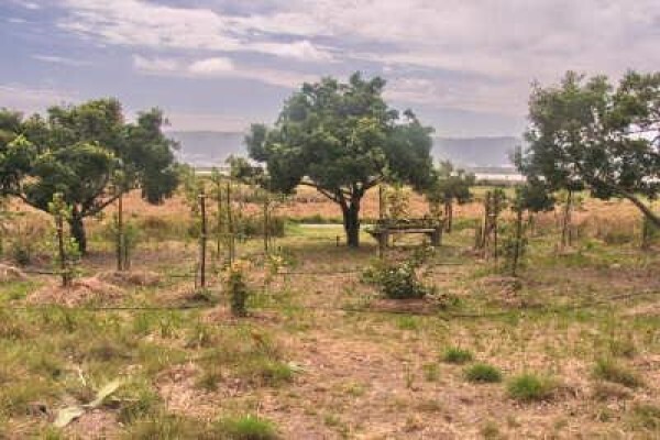 Steenbok Nature Reserve