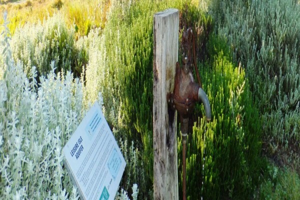 Steenbok Nature Reserve