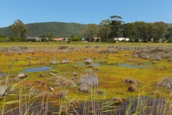 Steenbok Nature Reserve