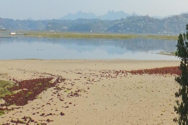Steenbok Nature Reserve