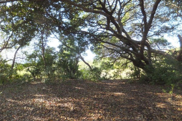 Steenbok Nature Reserve