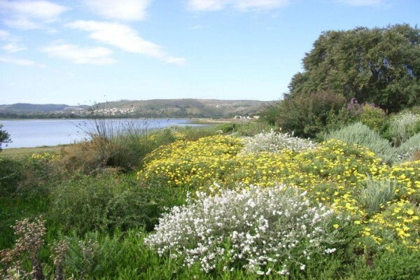 Steenbok Nature Reserve