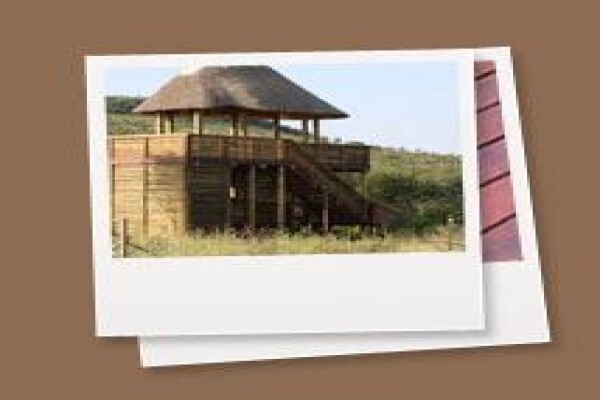 Timber Decking