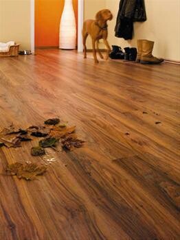 Top Laminates