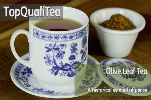 Topqualitea South Africa
