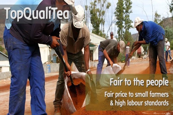 Topqualitea South Africa