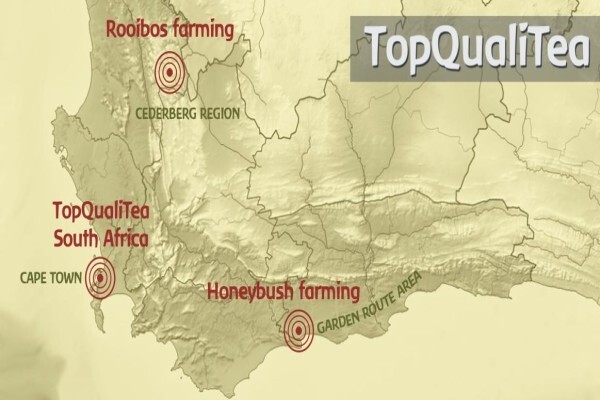 Topqualitea South Africa