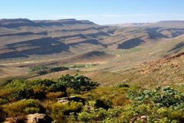 Topqualitea South Africa