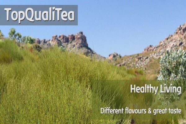 Topqualitea South Africa