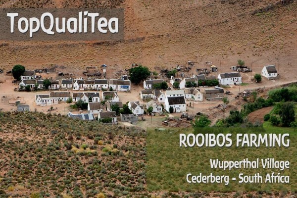 Topqualitea South Africa