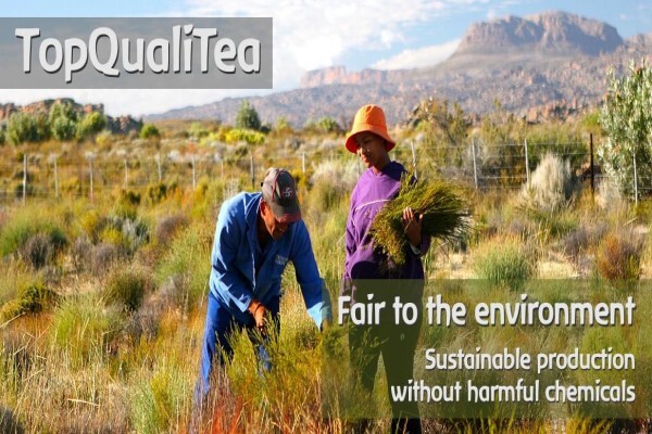 Topqualitea South Africa
