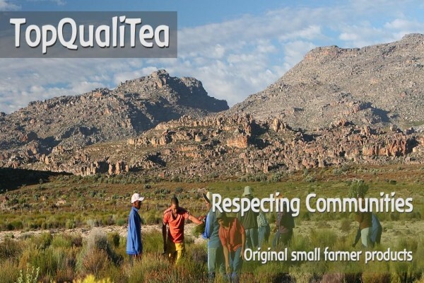 Topqualitea South Africa