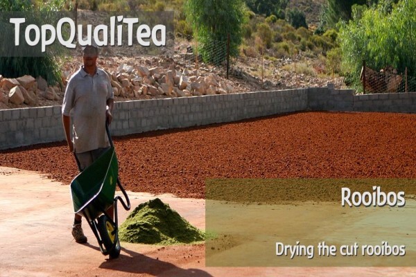 Topqualitea South Africa