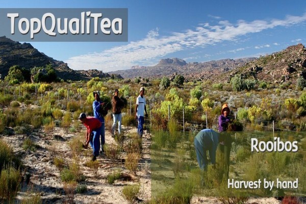 Topqualitea South Africa
