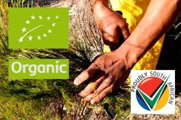 Topqualitea South Africa