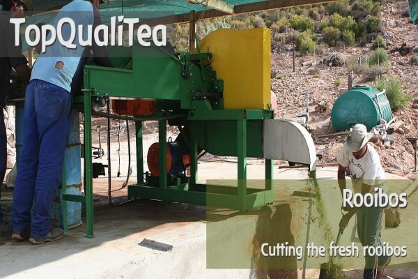 Topqualitea South Africa