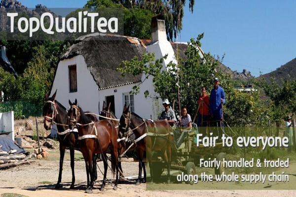 Topqualitea South Africa