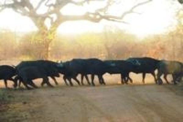 Tourassist South Africa