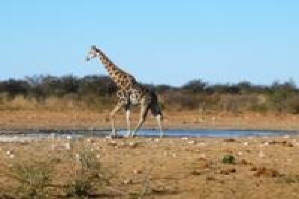 Tourassist South Africa
