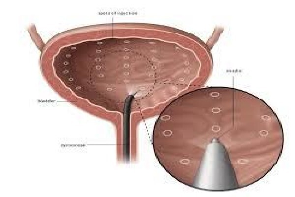 Eppel SM Dr
