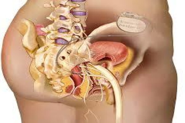 Eppel SM Dr