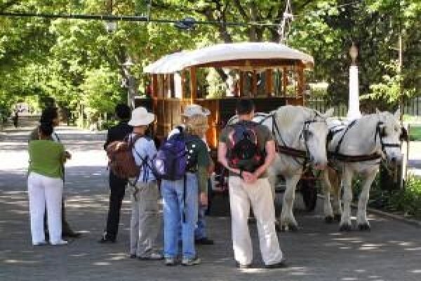 Vamos Township Tours